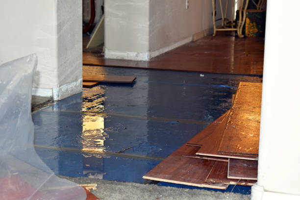 Professional Water Extraction technician working in Bailey, MI